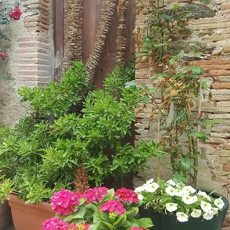 Fonda Felip Casa de hóspedes El Port De La Selva