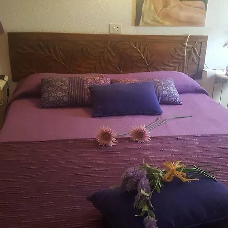 Casa de hóspedes Fonda Felip *