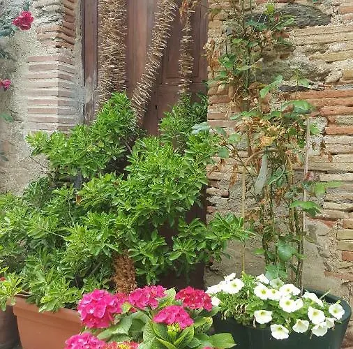 Fonda Felip بيت ضيافة El Port De La Selva